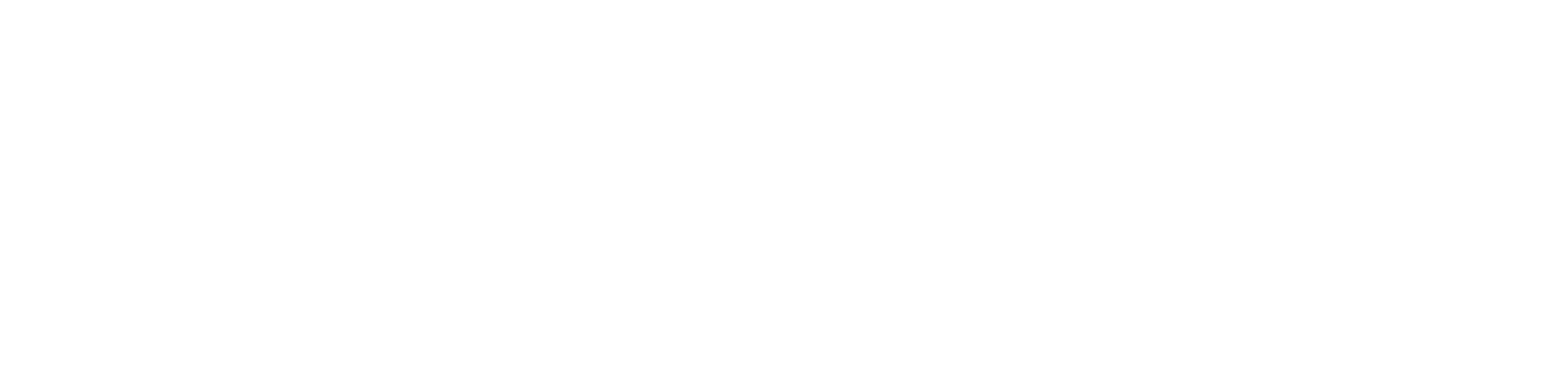 Logo DriveAlert Logo Carretera Blanco